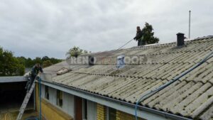 Cleaning Roof Before Paint Renotec Full Min